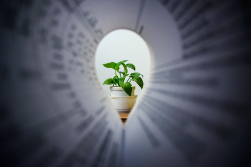 Imagem Mentoria - Aláfia consultoria em sustentabilidade